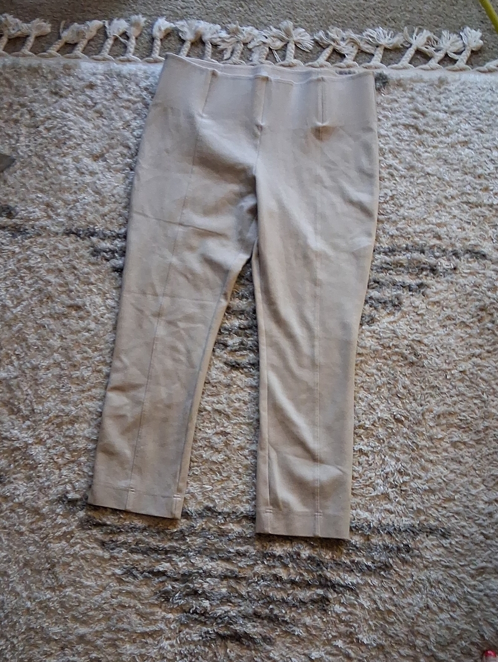 Slim By Investments Dress Pants in Light Beige